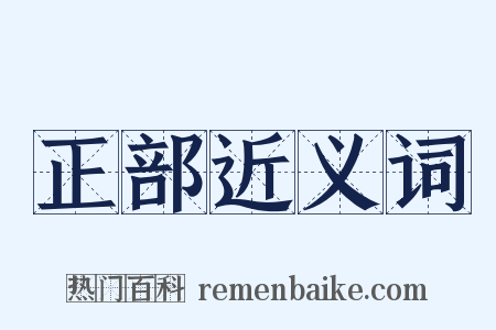 正部近义词是什么意思的图片